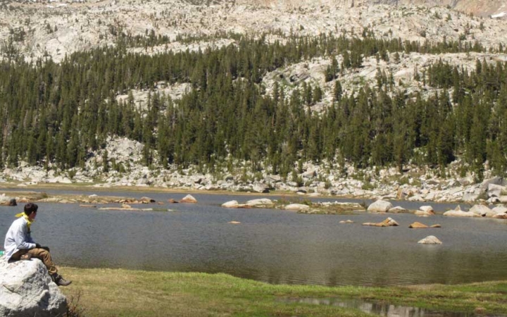 adults unplug outdoors in california 